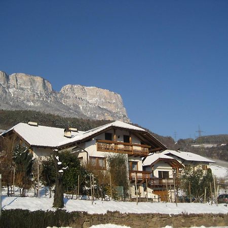 Gfillhof Ferienwohnung 1 Appiano Sulla Strada Del Vino Luaran gambar