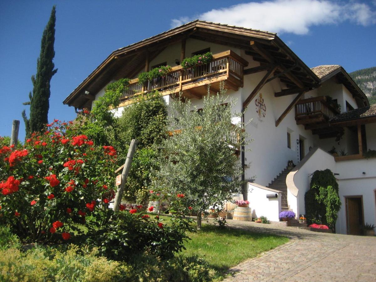 Gfillhof Ferienwohnung 1 Appiano Sulla Strada Del Vino Luaran gambar