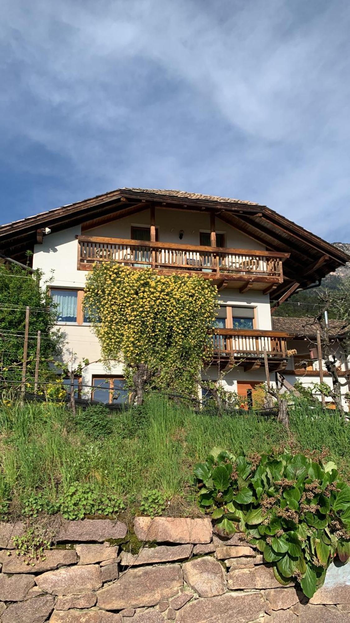 Gfillhof Ferienwohnung 1 Appiano Sulla Strada Del Vino Luaran gambar