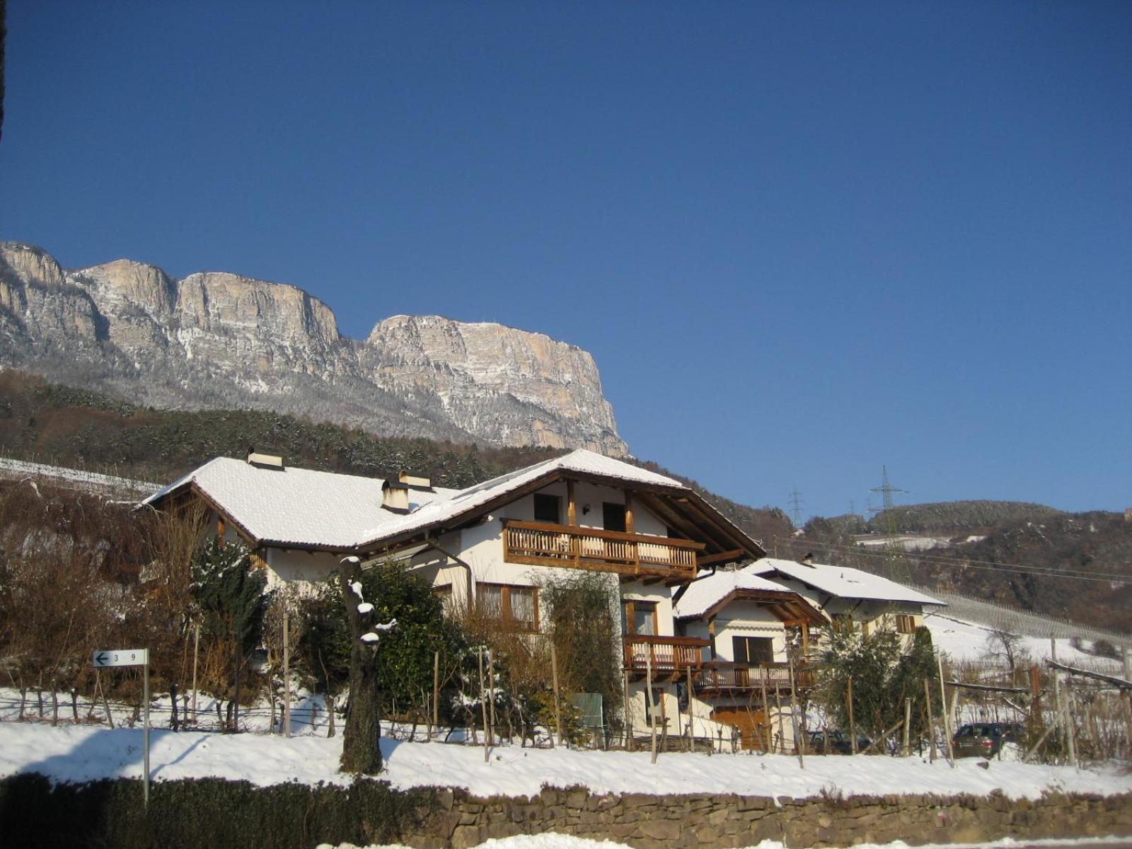 Gfillhof Ferienwohnung 1 Appiano Sulla Strada Del Vino Luaran gambar